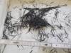 19 Bild_Bewehrungs-CFK 19 Bild_Bewehrungs-CFK