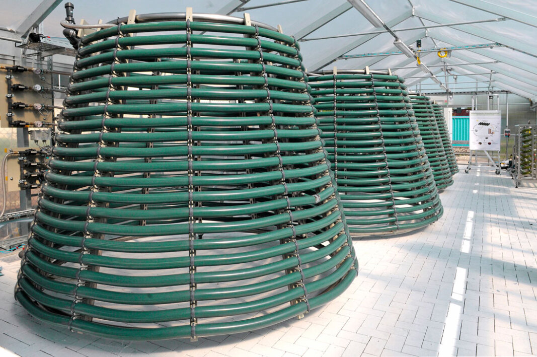 Algenoel_1096px Algenoel_1096px