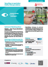 Produktblatt Optimierte Präbiotikasynthese - Präbiotika - „Futter“ für gesundheitsfördernde Darmbakterien
