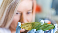 BoxenbilderGrüne-Elektronik BoxenbilderGrüne-Elektronik