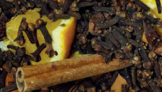 Boxenbilder_1,5Spalten_HS-AnhaltBrauerei Boxenbilder_1,5Spalten_HS-AnhaltBrauerei