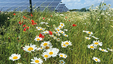 Boxenbilder_1,5Spalten_HS-AnhaltGrueneInfrastruktur Boxenbilder_1,5Spalten_HS-AnhaltGrueneInfrastruktur