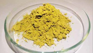 Boxenbilder_1,5Spalten_HS-AnhaltMikroalgen Boxenbilder_1,5Spalten_HS-AnhaltMikroalgen