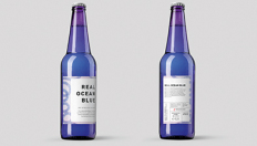 Boxenbilder_1,5Spalten_HS-AnhaltOceanBlue Boxenbilder_1,5Spalten_HS-AnhaltOceanBlue