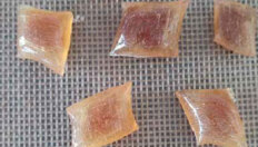 Boxenbilder_1,5Spalten_HS-AnhaltSüsswarenlabor Boxenbilder_1,5Spalten_HS-AnhaltSüsswarenlabor