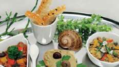 Boxenbilder_1,5Spalten_HS-AnhaltSchnecken Boxenbilder_1,5Spalten_HS-AnhaltSchnecken