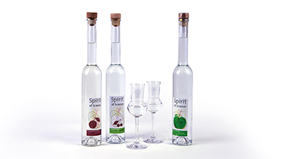 Boxenbilder_1,5Spalten_HS-AnhaltVersuchsbrennerei Boxenbilder_1,5Spalten_HS-AnhaltVersuchsbrennerei