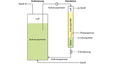 Boxenbilder_Algentankstelle_Schema Boxenbilder_Algentankstelle_Schema