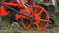 Boxenbilder_Düngestrategien Boxenbilder_Düngestrategien