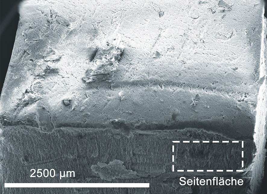 ECM_Poduktbilder_Nanocellulose ECM_Poduktbilder_Nanocellulose