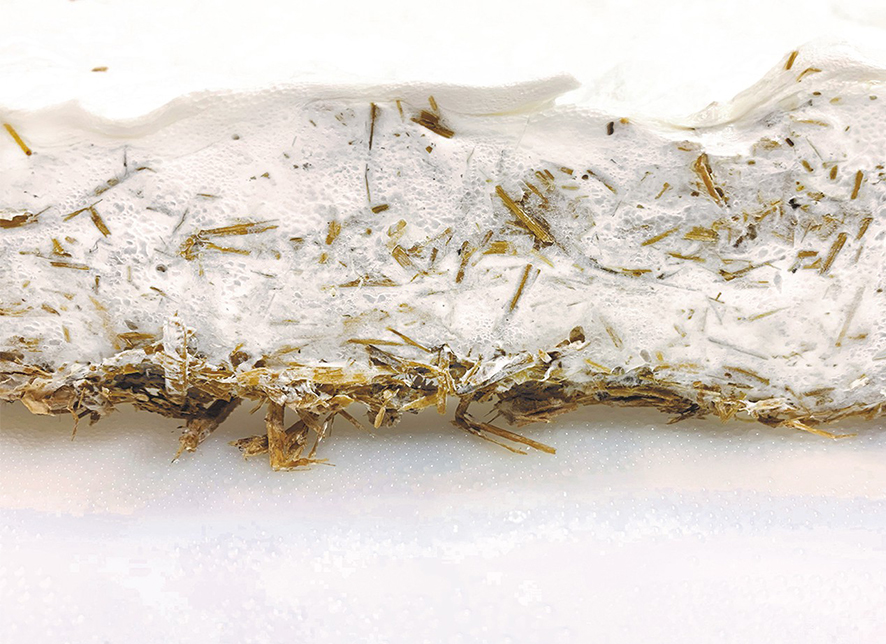 ECM_Poduktbilder_myzelbikebox ECM_Poduktbilder_myzelbikebox