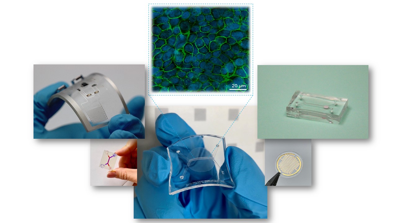 ST_OVGU_Steinmann ST_OVGU_Steinmann