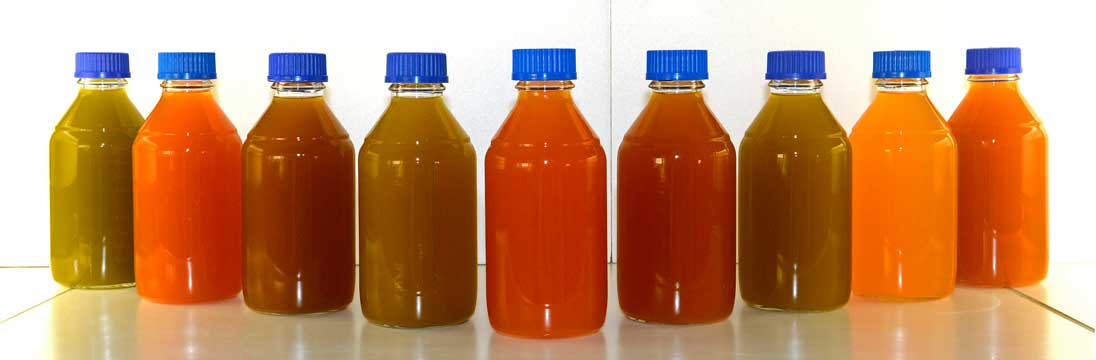 carotinoide_übersicht_1096px carotinoide_übersicht_1096px