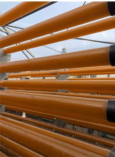 carotinoide_pbr_salata_1096px carotinoide_pbr_salata_1096px