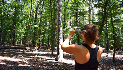 hm25_Boxenbilder_1,5Spalten_HSAnhalt_MeineWaldKI hm25_Boxenbilder_1,5Spalten_HSAnhalt_MeineWaldKI